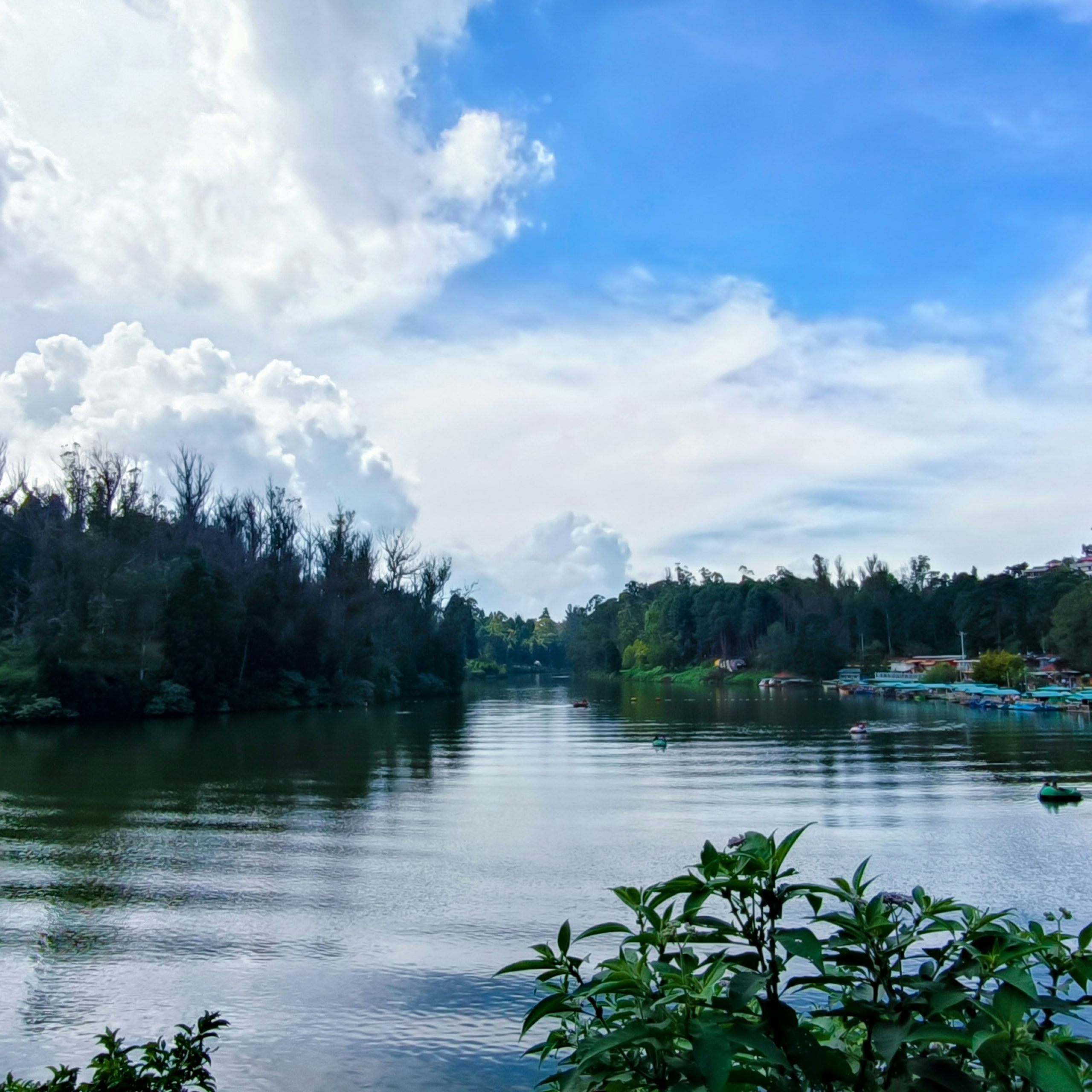 Day 1: Coimbatore – Ooty