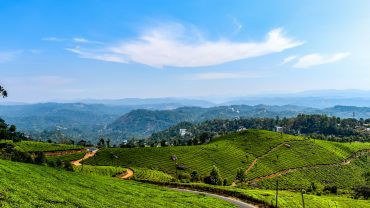 5 Hill Stations in Kerala That Feel Like a Dream
